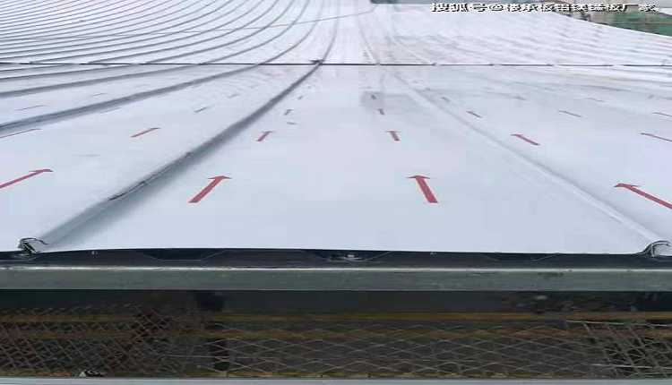 1721095457175466.jpeg 01.jpeg